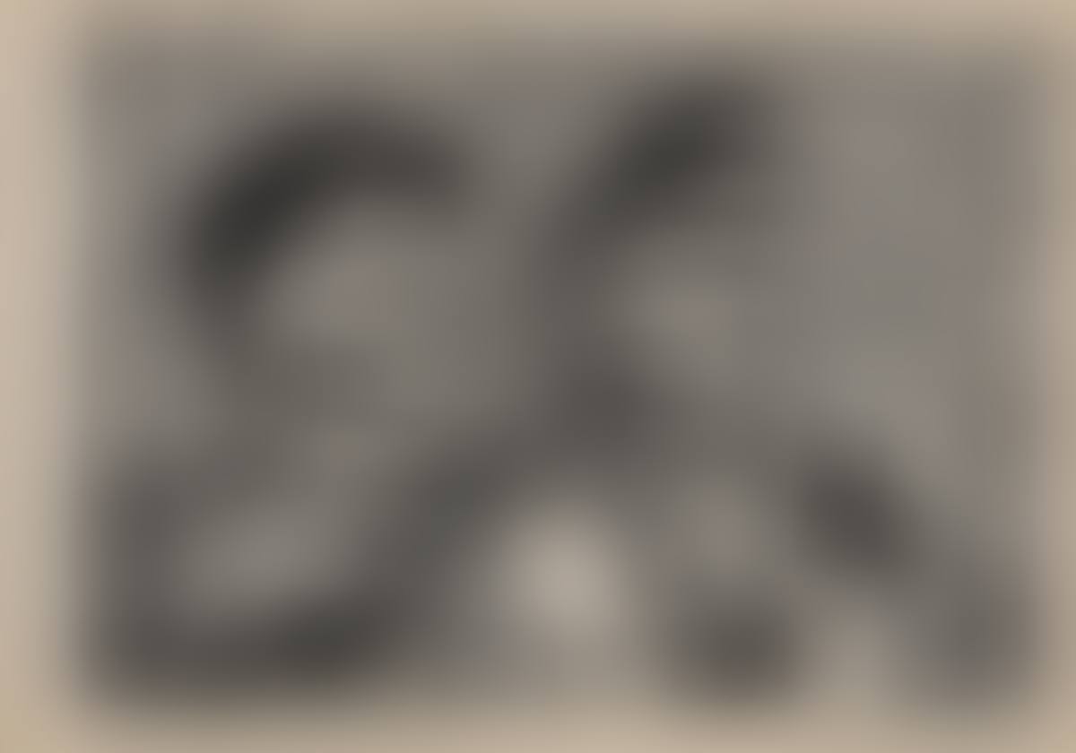 "A BIRD NEVER FLEW ON ONE WING" (preview)