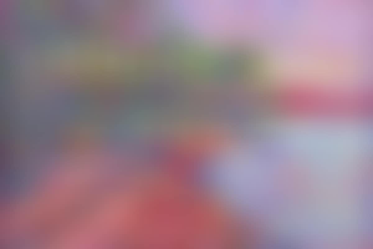 "BESIDE THE LAKE LOUGH NEAGH" (preview)
