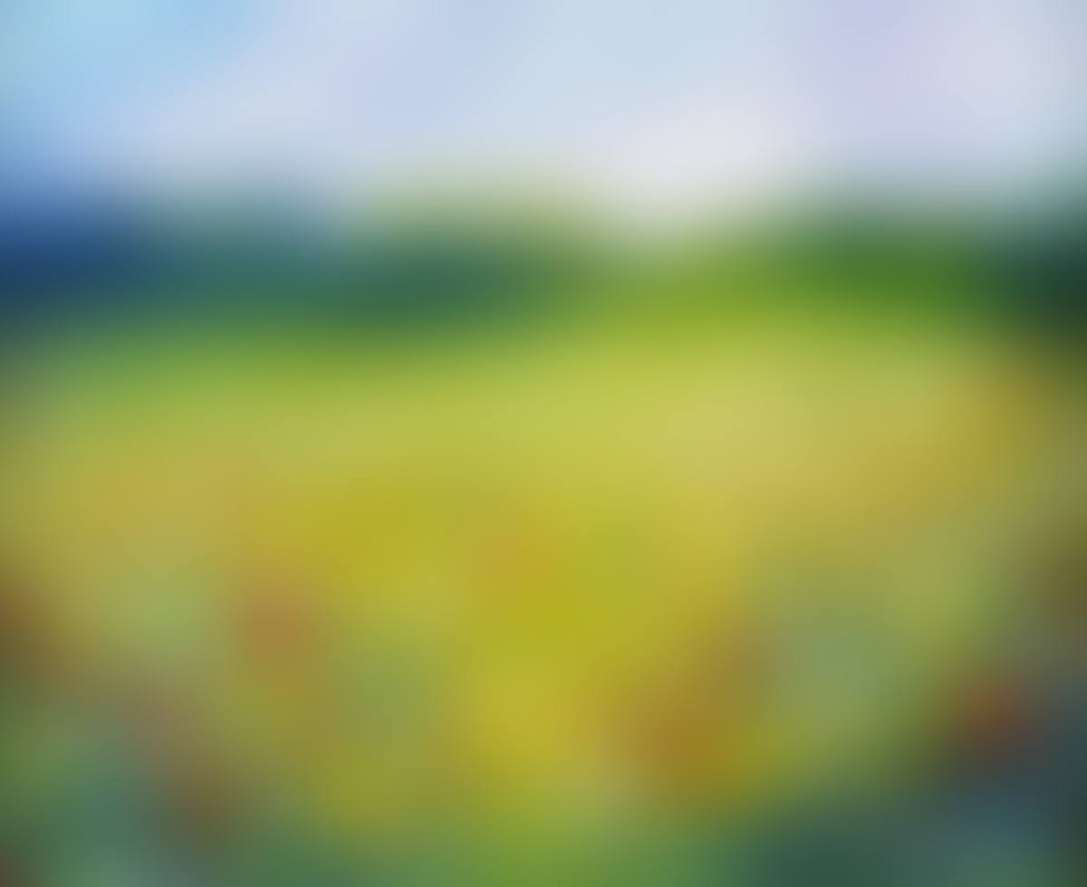 "SUMMER FLOWERS" (preview)