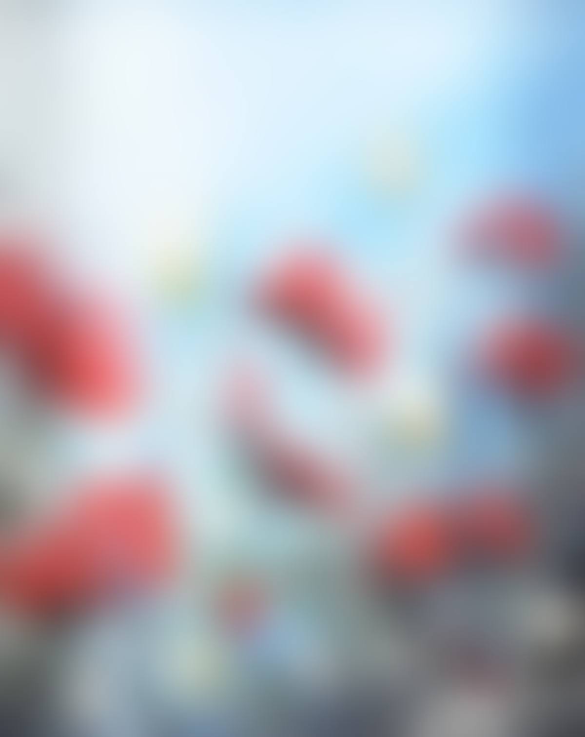 "POPPIES IN THE RAIN" (preview)