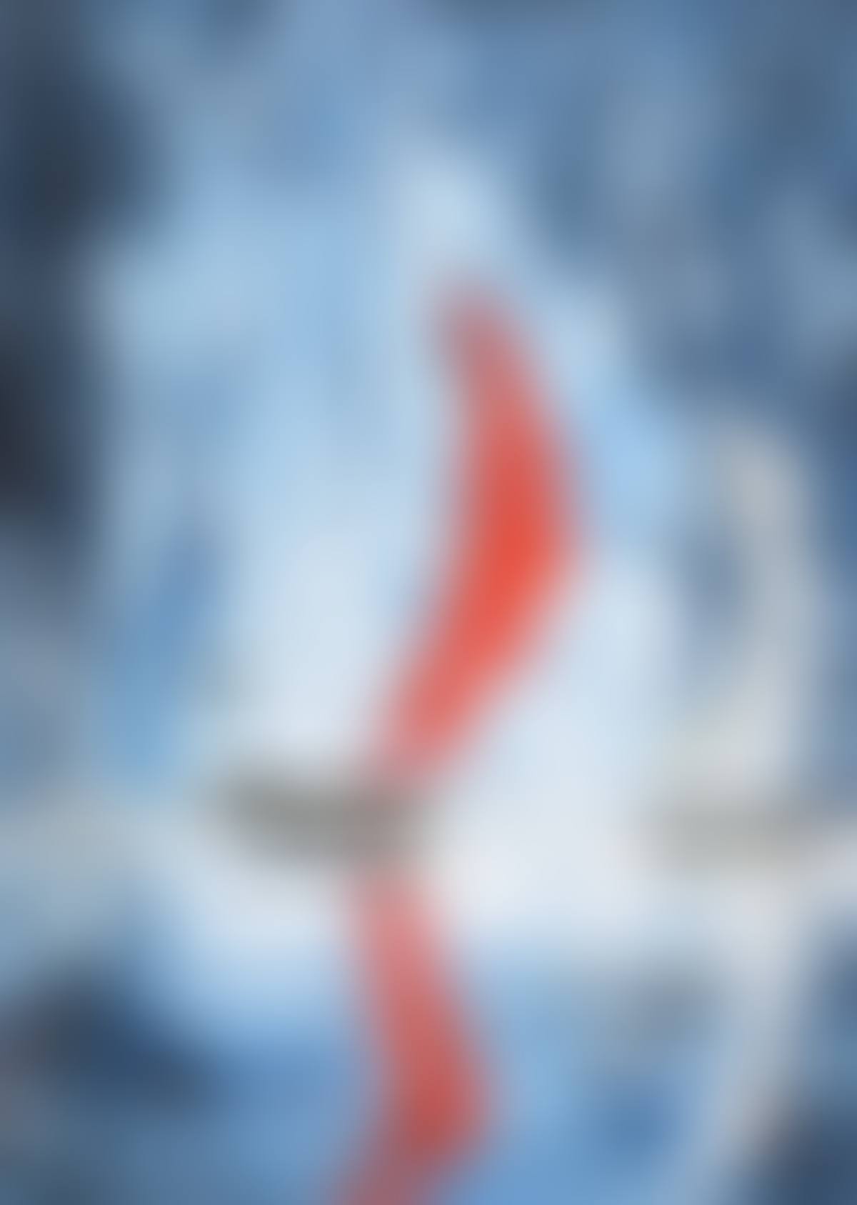 "THE REGATTA" (preview)