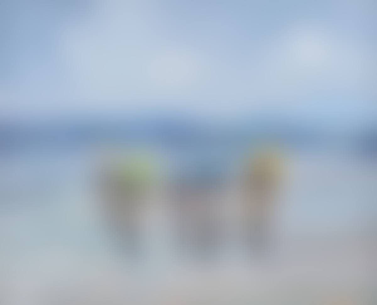 "CYCLISTS RACING ON DOWNINGS SEAFRONT" (preview)