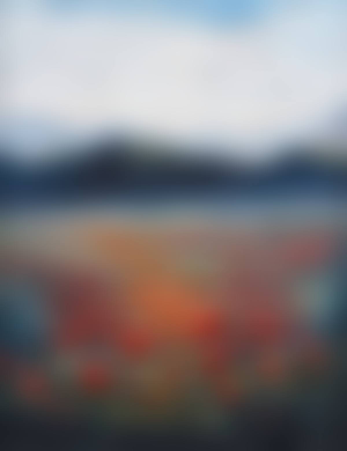 "POPPY FIELDS" (preview)