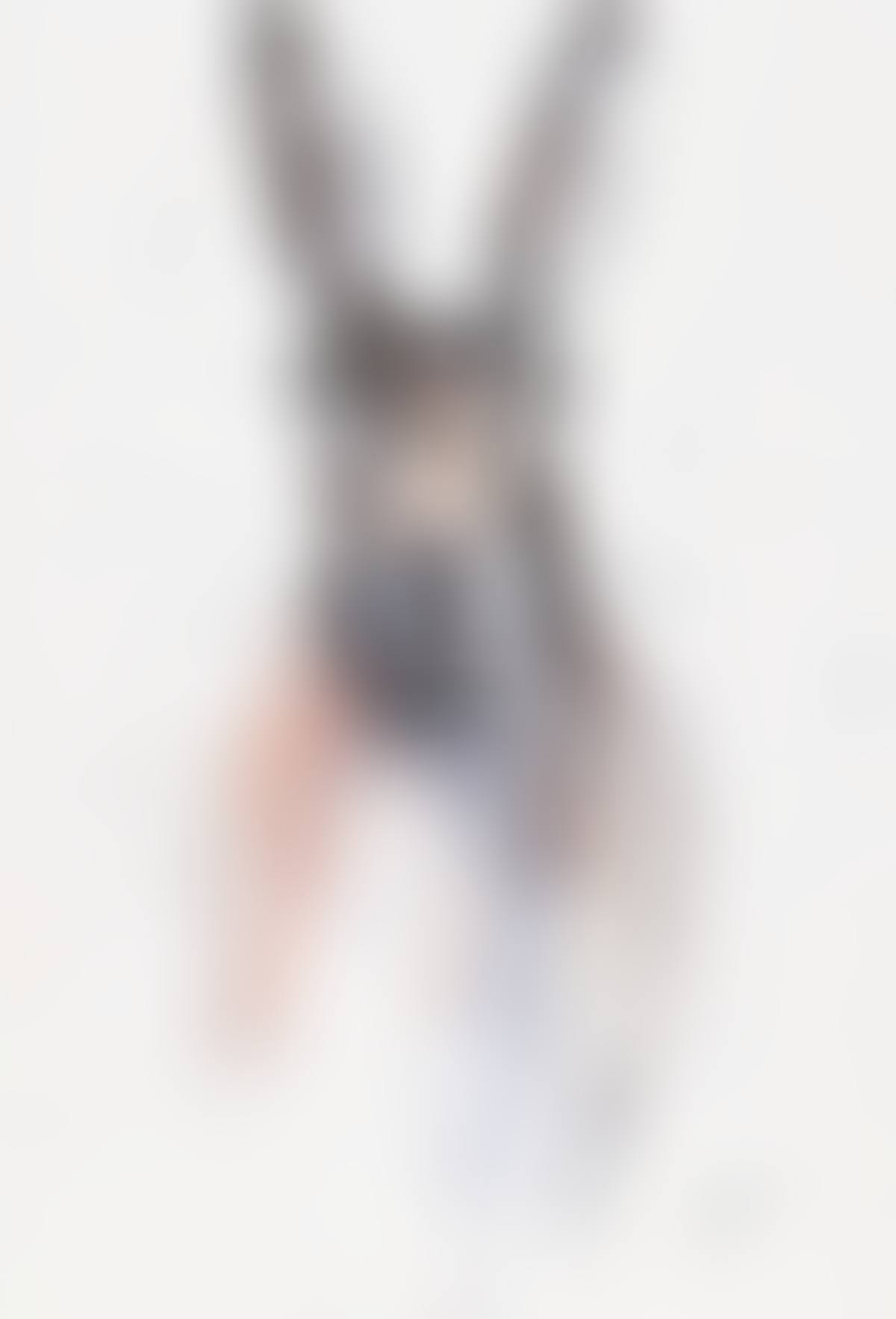 "HARE" (preview)