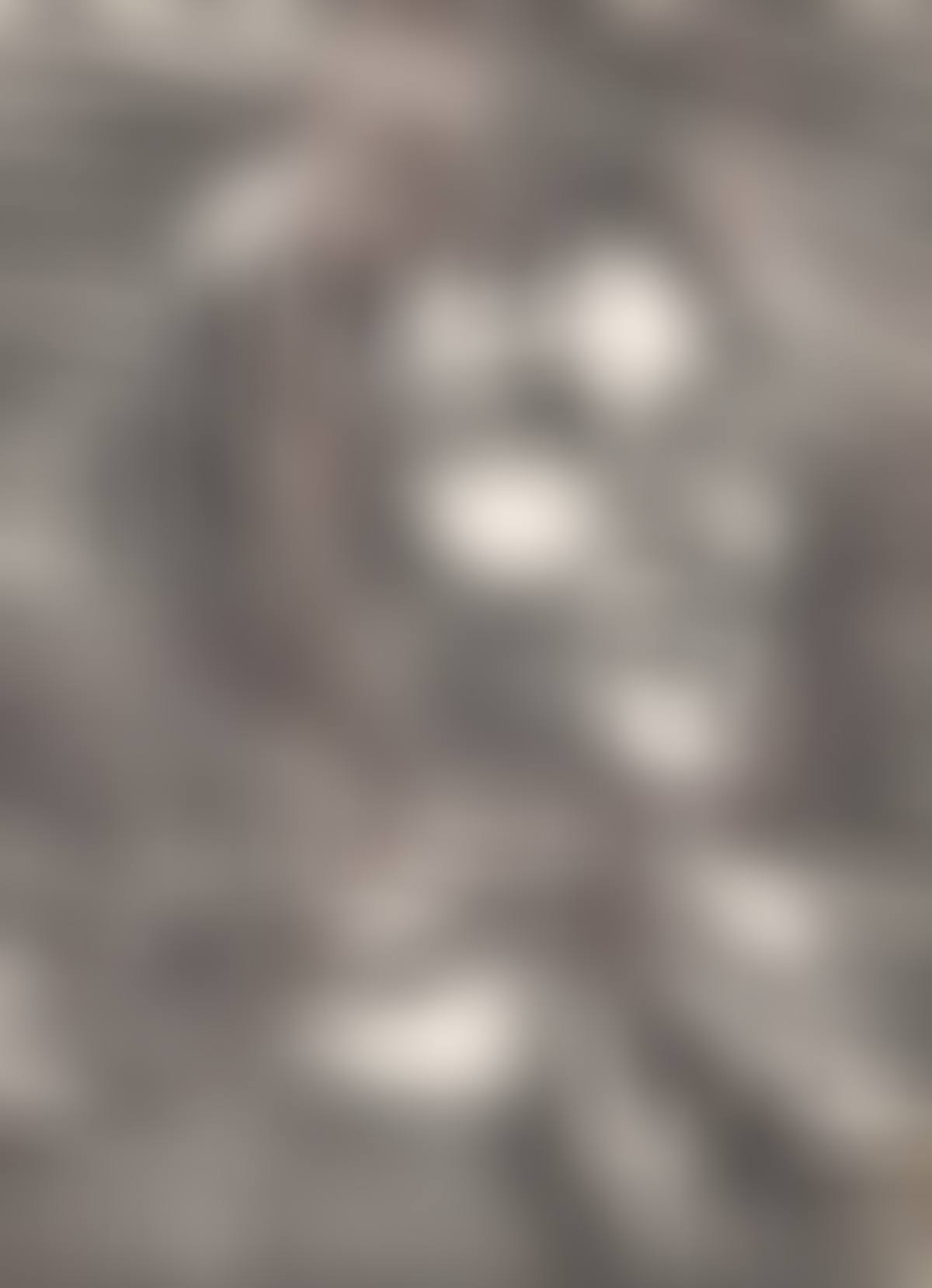 "CONNEMARA COLLEEN" (preview)