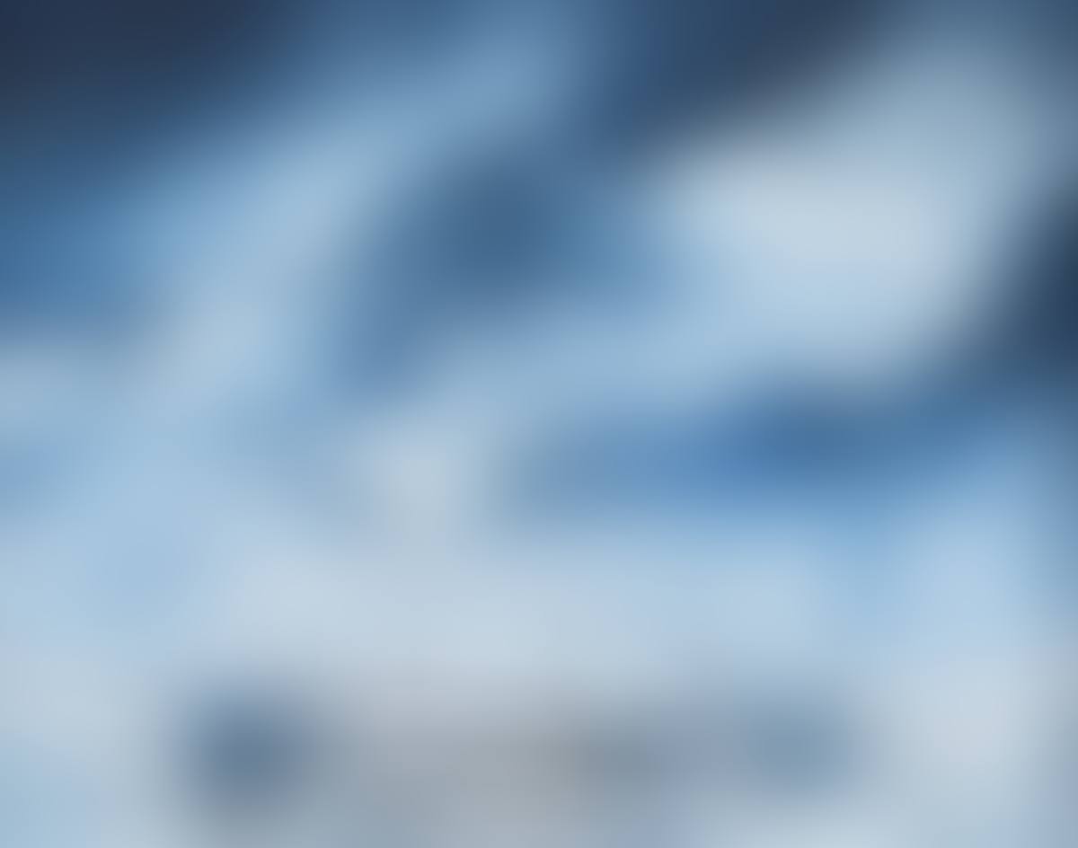 "THE REGATTA" (preview)