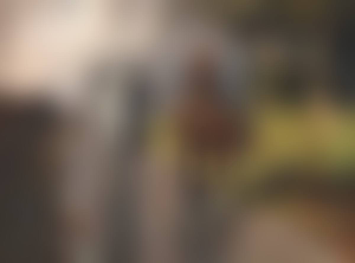 "TRAVELLERS ON THE ROAD" (preview)