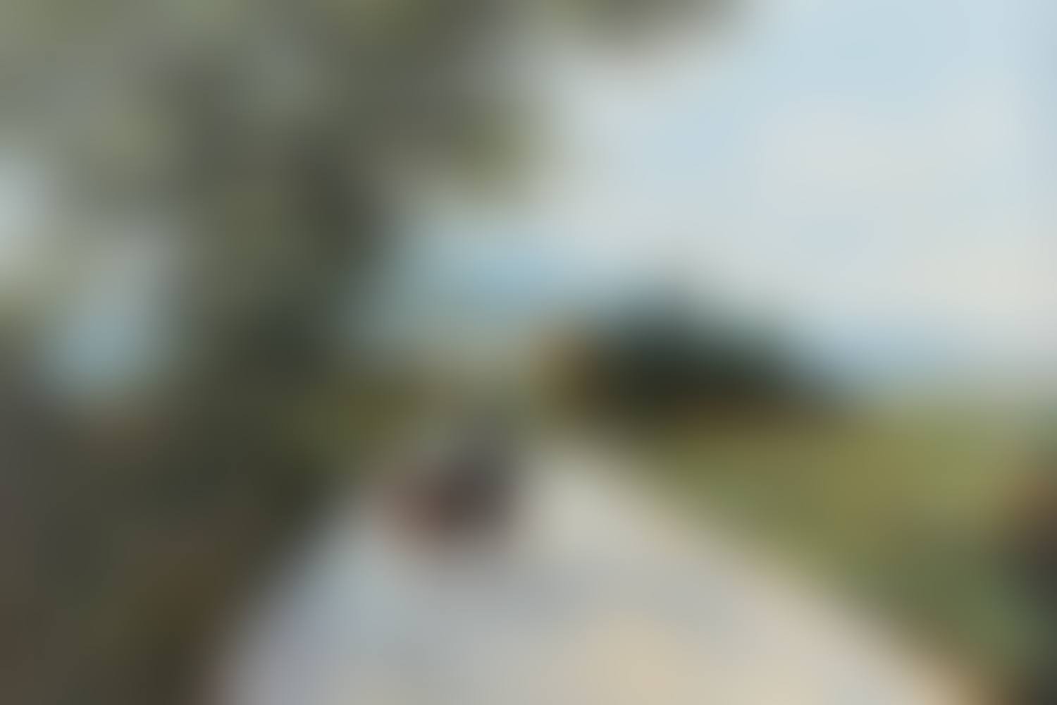 "ROAD TO THE MOURNES" (preview)