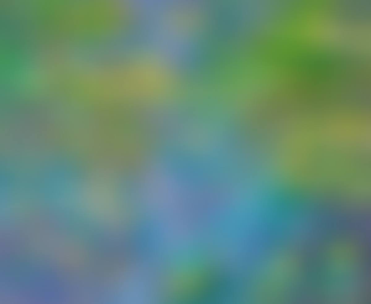 "MONET"S GARDEN WATER LILIES" (preview)