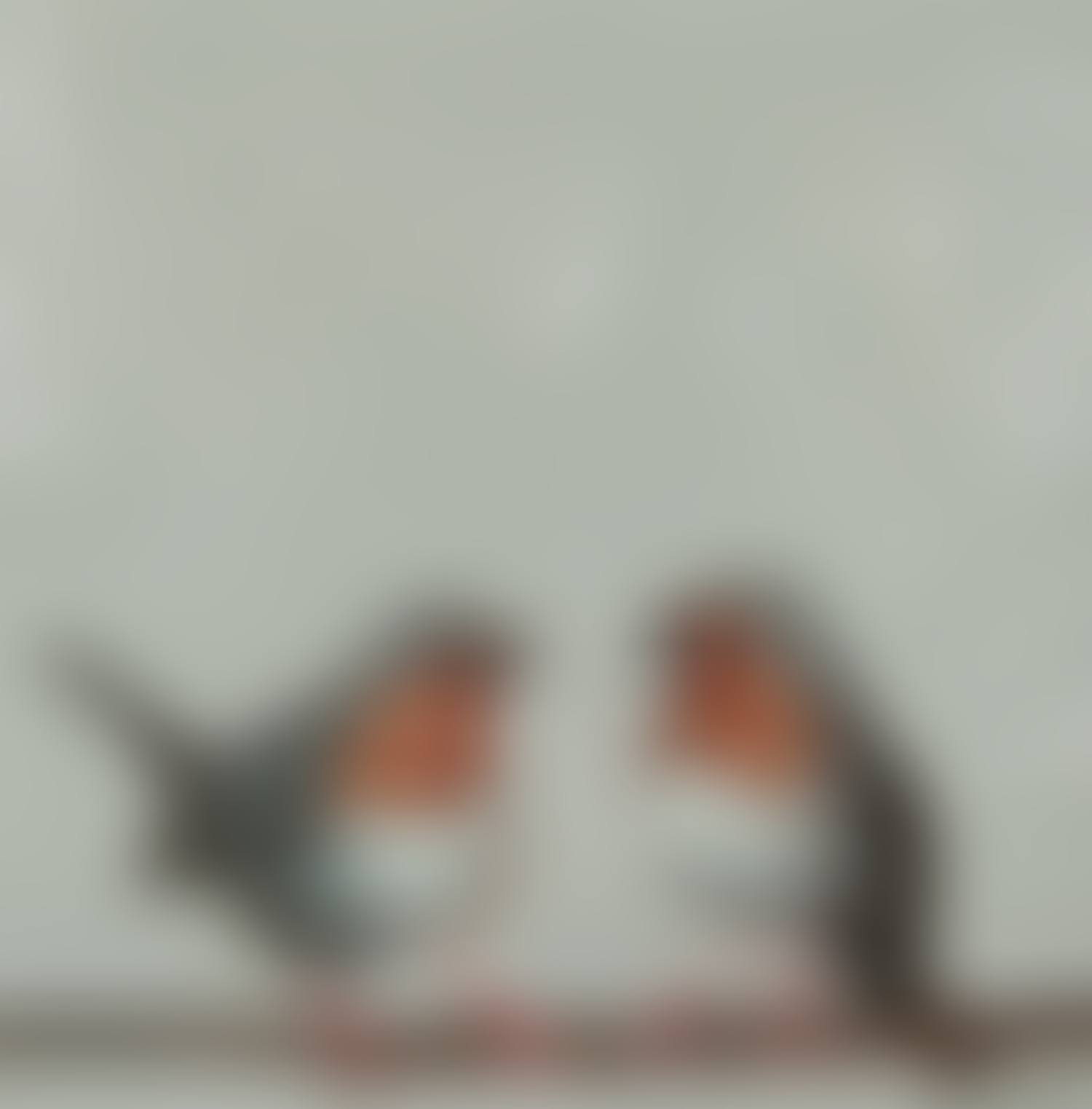 "BIRDIE TALK" (preview)