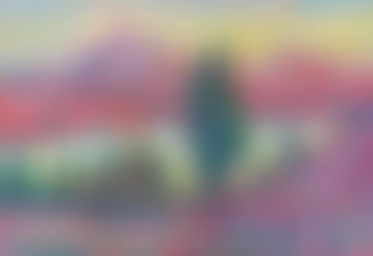 "TREES BY THE LOUGH , CONNEMARA" (preview)