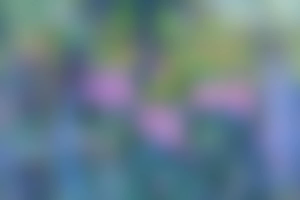 "MONET"S GARDEN" (preview)