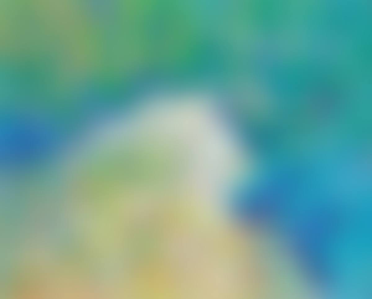 "MORNING LIGHT" (preview)