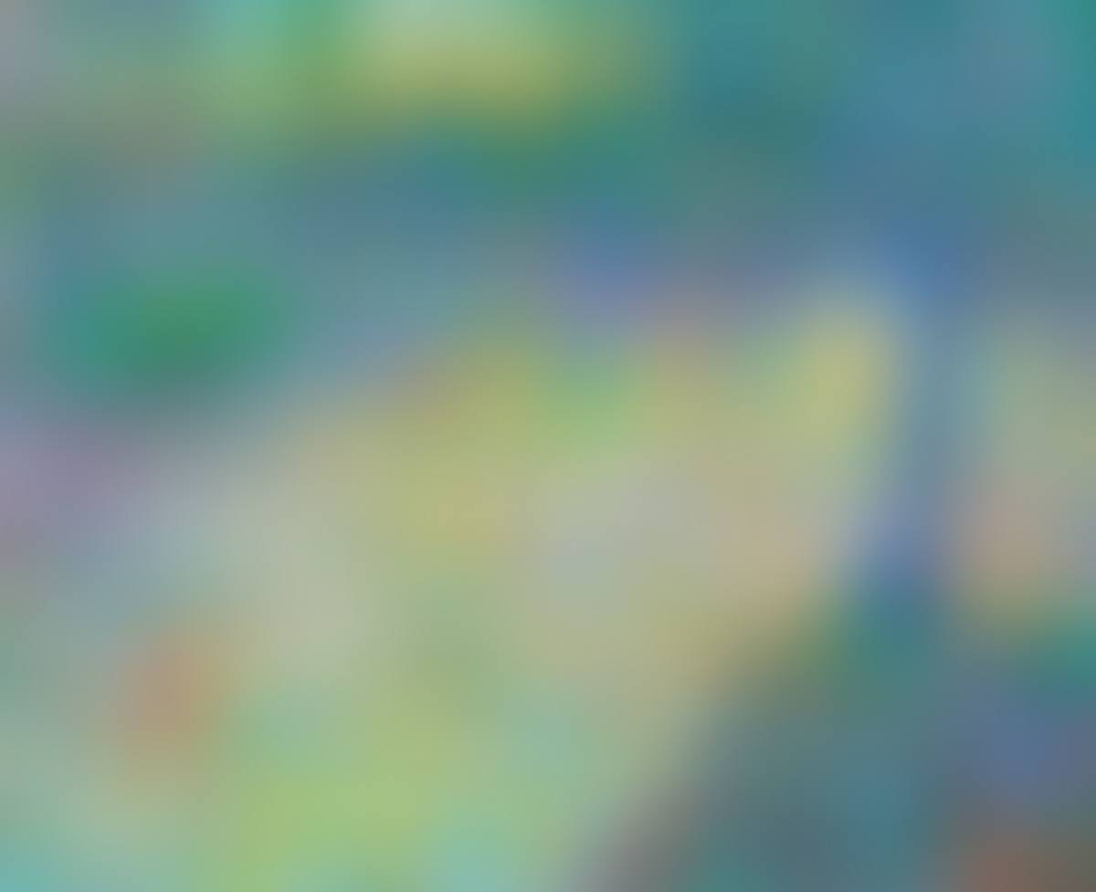 "DAPPLED LIGHT , RIVER LAGAN" (preview)