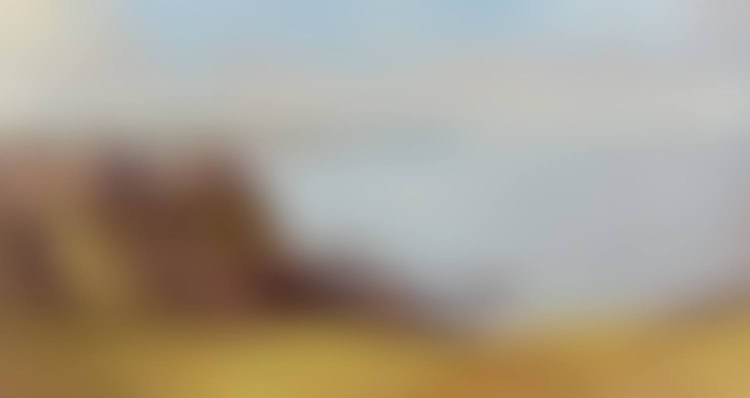"DUNLUCE CASTLE, COUNTY ANTRIM" (preview)