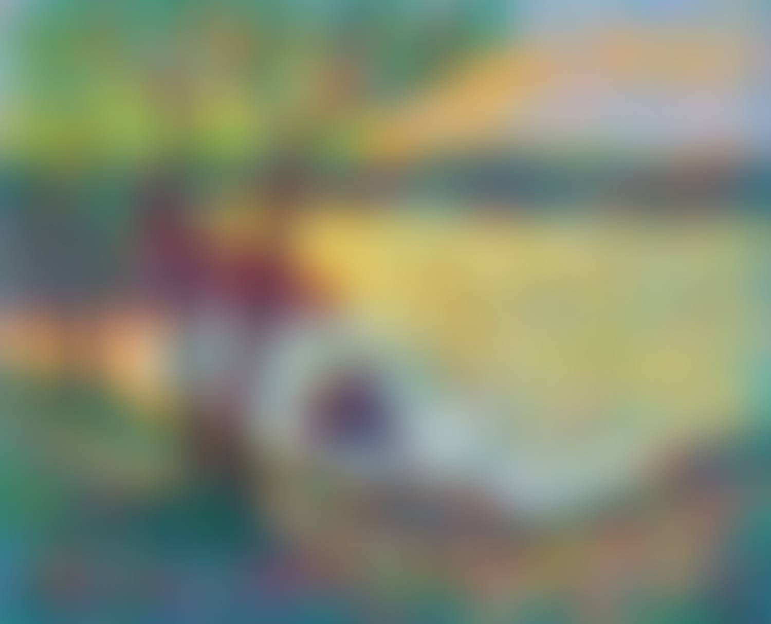 "SETTING SUN ALONE THE CANAL PATH" (preview)