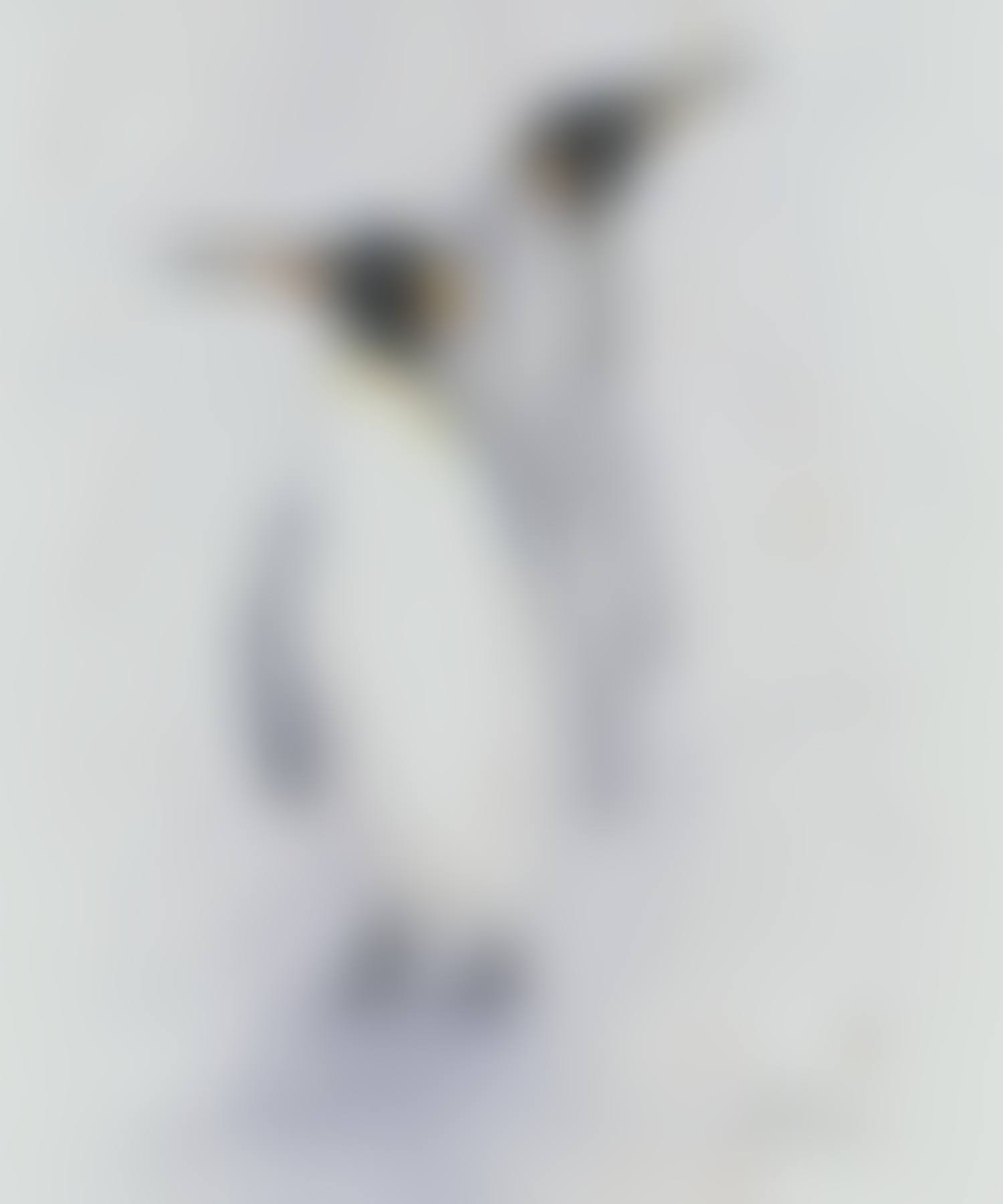"PENGUIN"S" (preview)