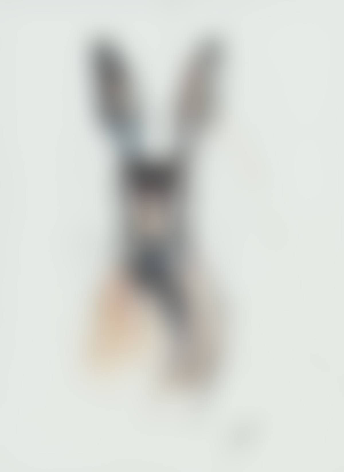 "HARE" (preview)