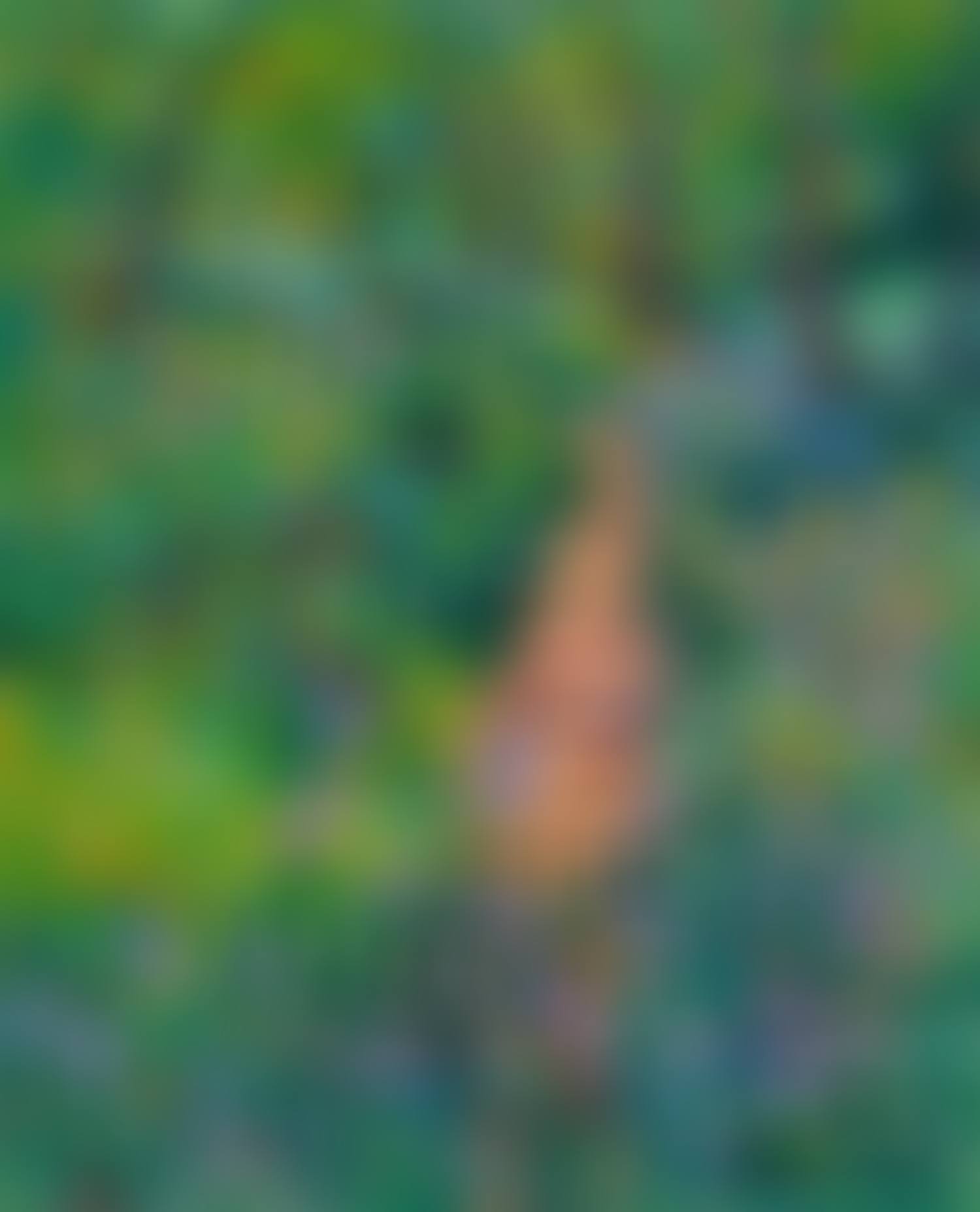 "MONET"S GARDEN" (preview)