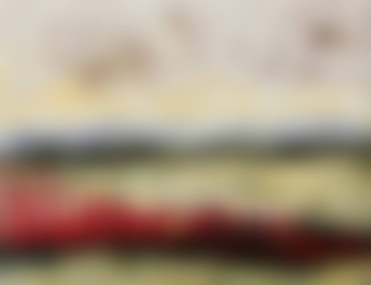 "POPPY FIELDS" (preview)