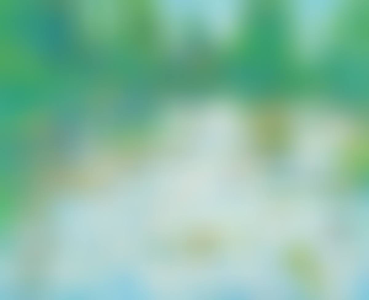 "MONETS GARDEN" (preview)