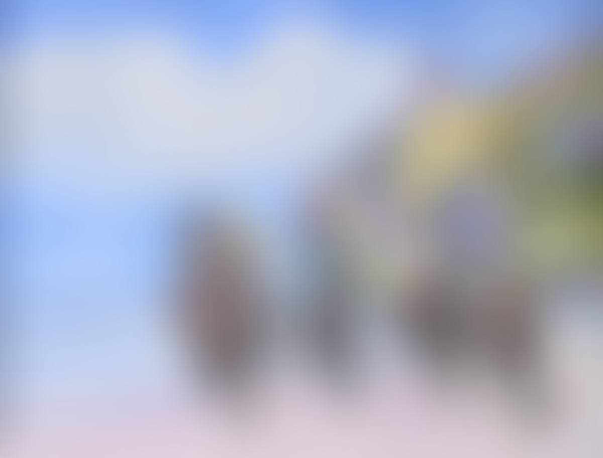 "RACING AT DOWNHILL BEACH BELOW MUSSENDEN TEMPLE" (preview)