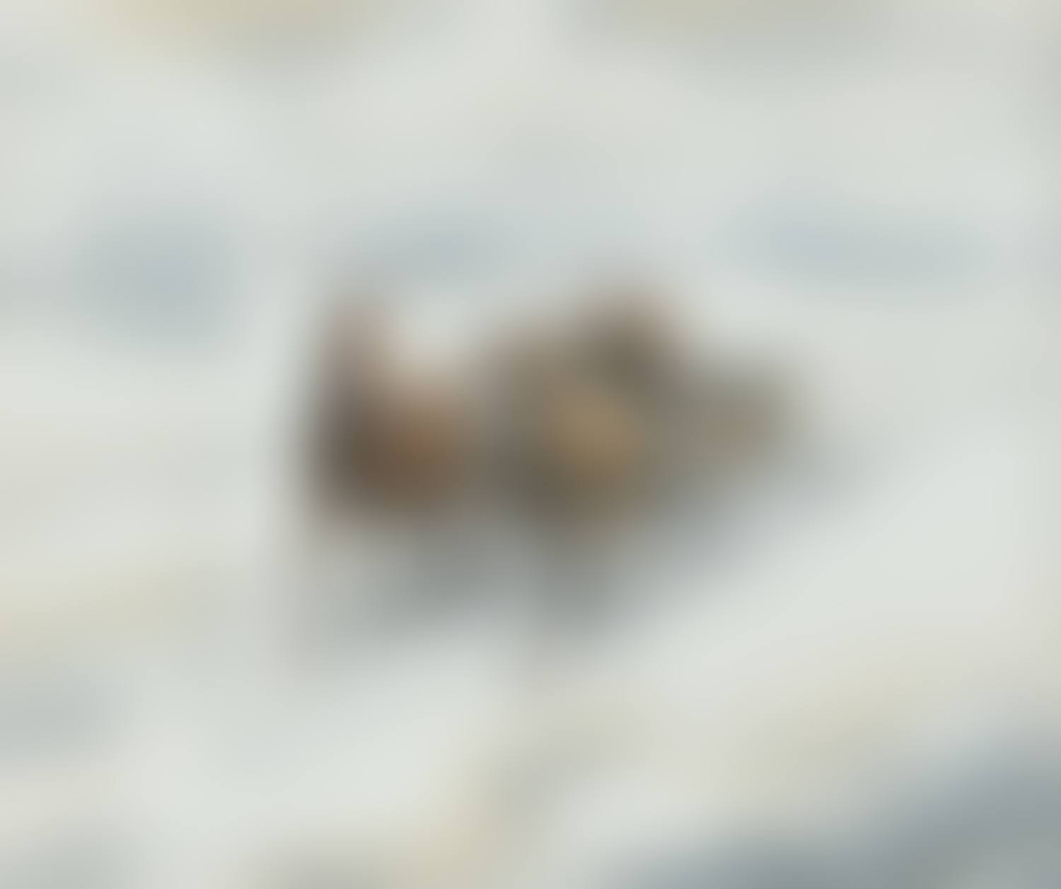 "HORSES AND CART IN THE SNOW" (preview)