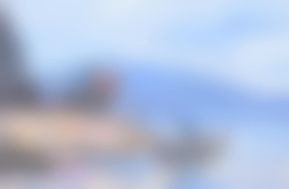 "DOWNINGS FISHERMEN NEAR THE ROCKS AT DOWNINGS BEACH" (preview)