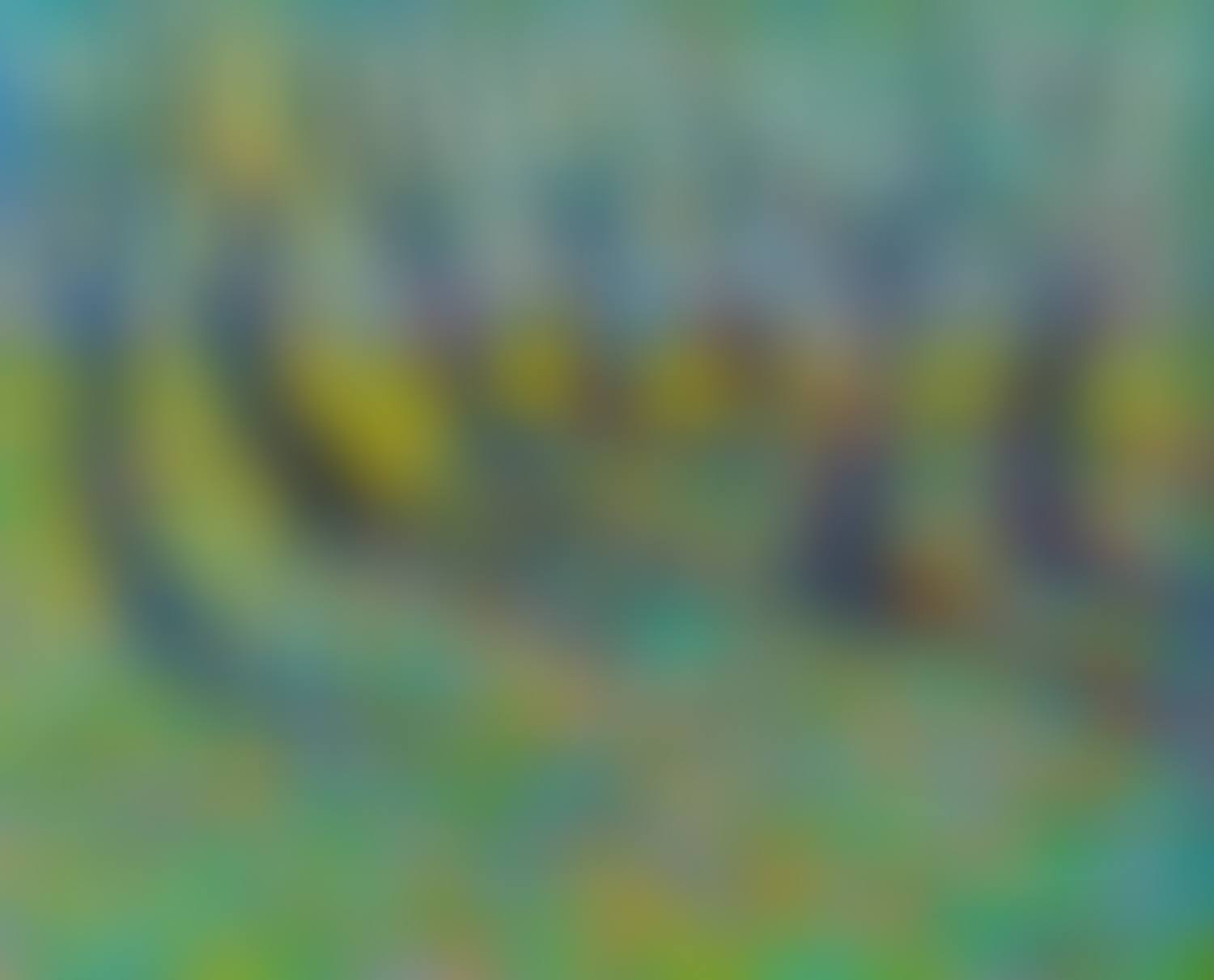 "ORCHARD" (preview)