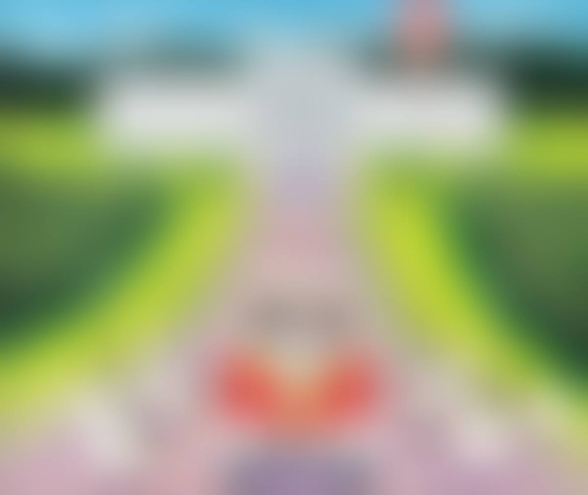 "ANDY PATS WANDERING SHEEP TAKING A CRUSE AROUND STORMONT" (preview)