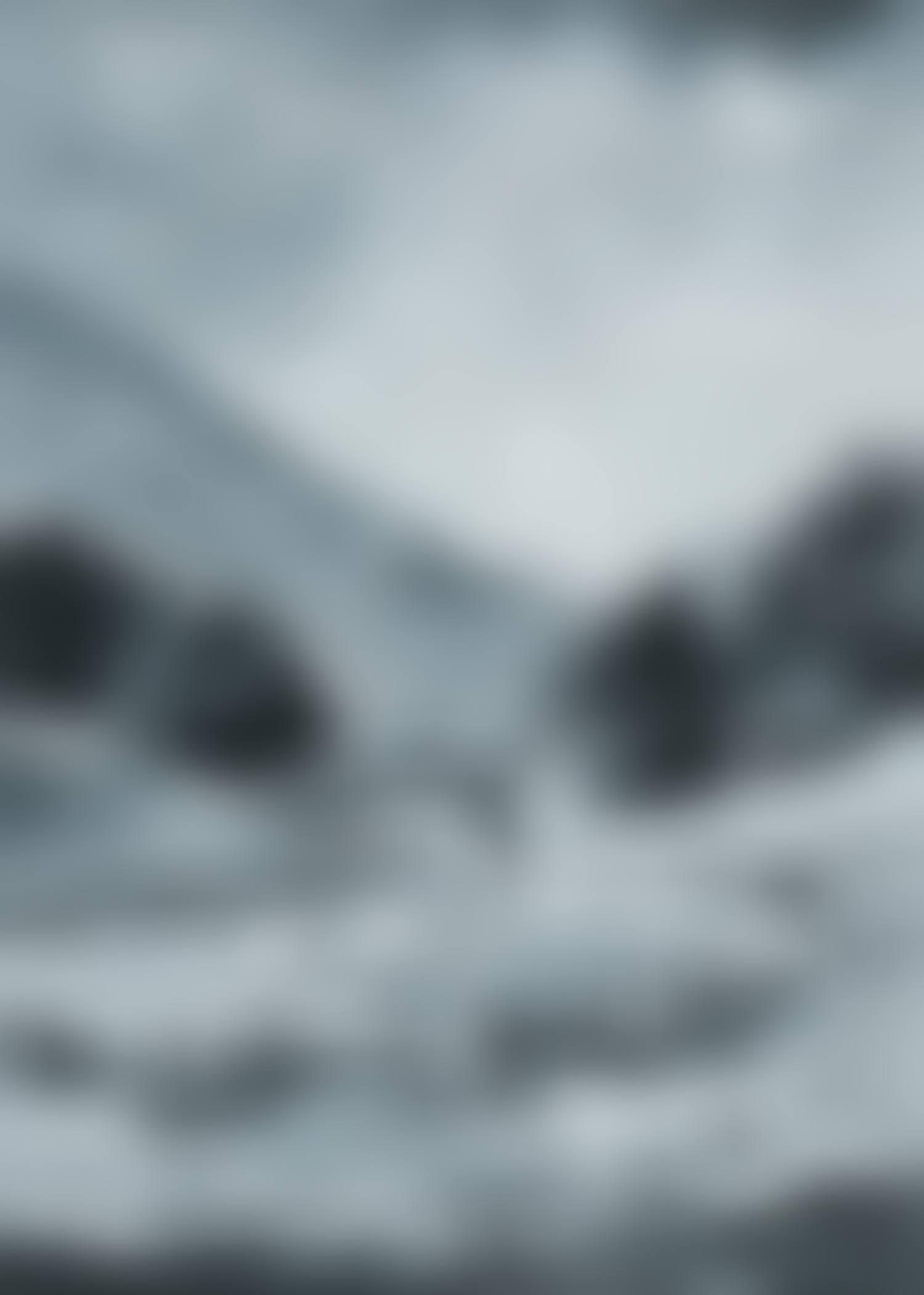 "MEETING ON THE HUMPBACK BRIDGE BENEATH THE BLUESTACKS" (preview)