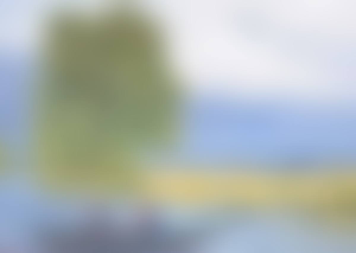"BOATING ON THE RIVER ESKE, DONEGAL" (preview)