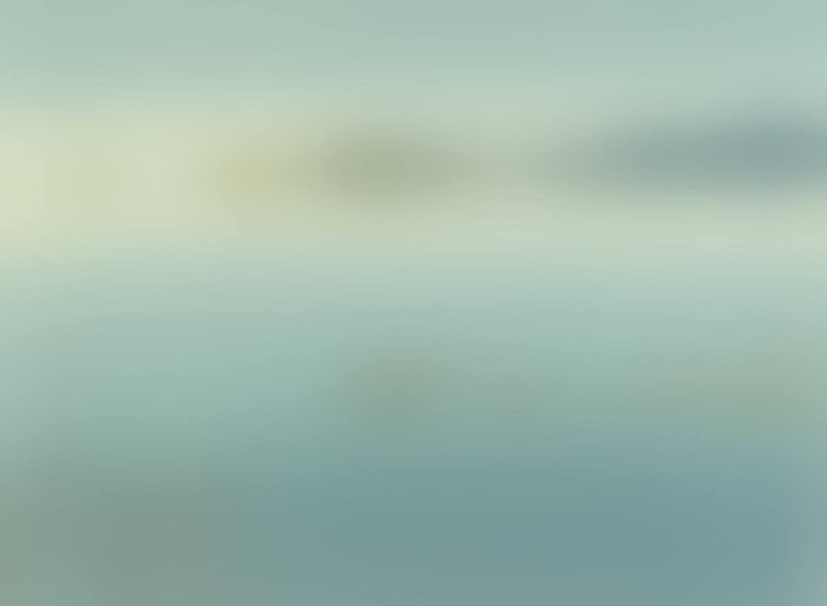 "ROSEAUX" (preview)