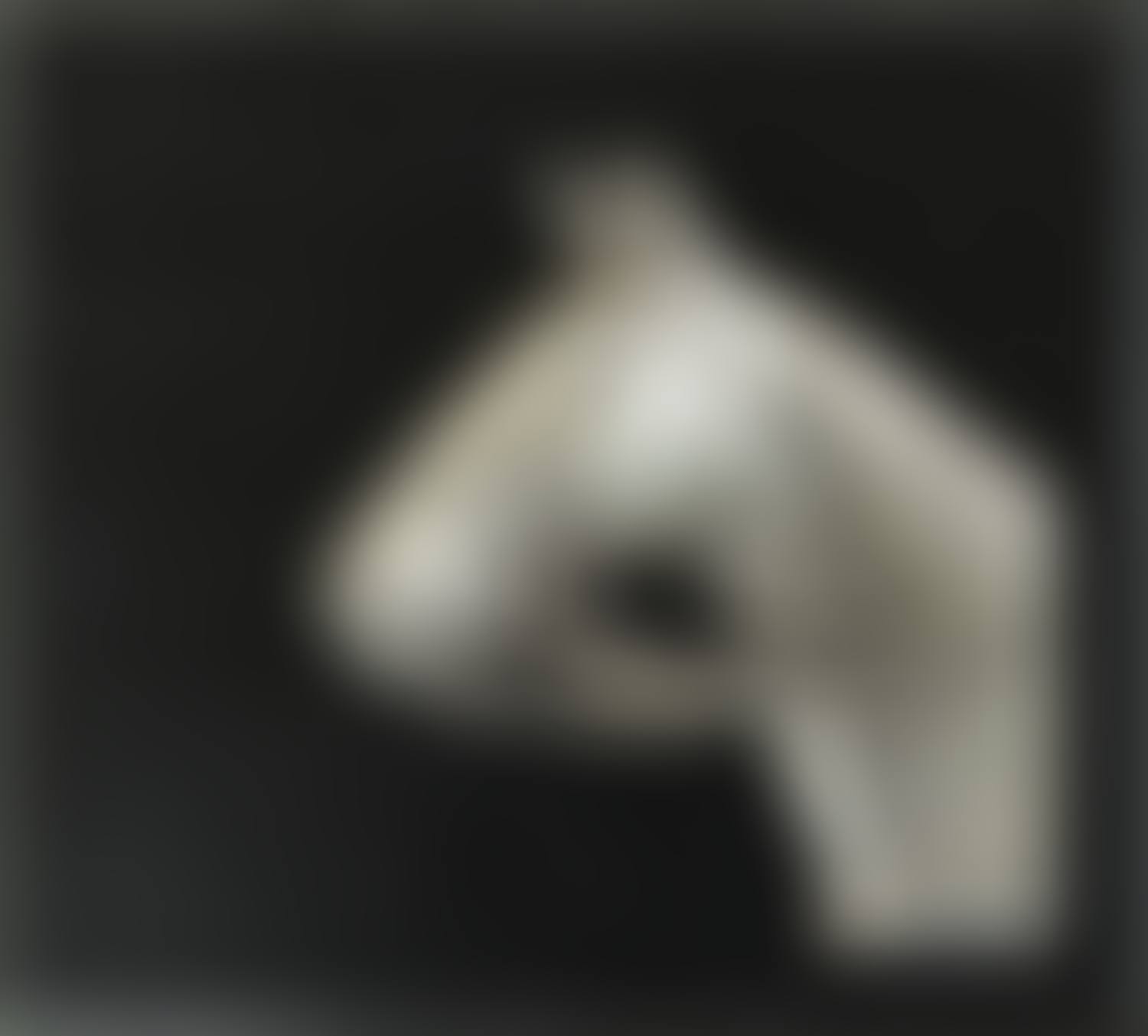 "HEAD OF A HORSE" (preview)