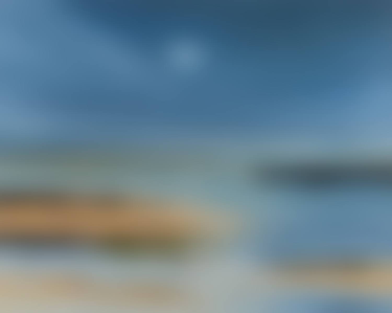 "IN THE MISTY MOONLIGHT" (preview)