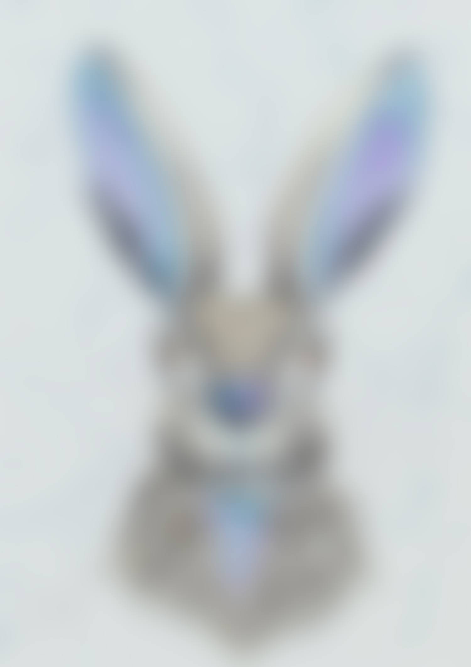 "CURIOUS HARE" (preview)
