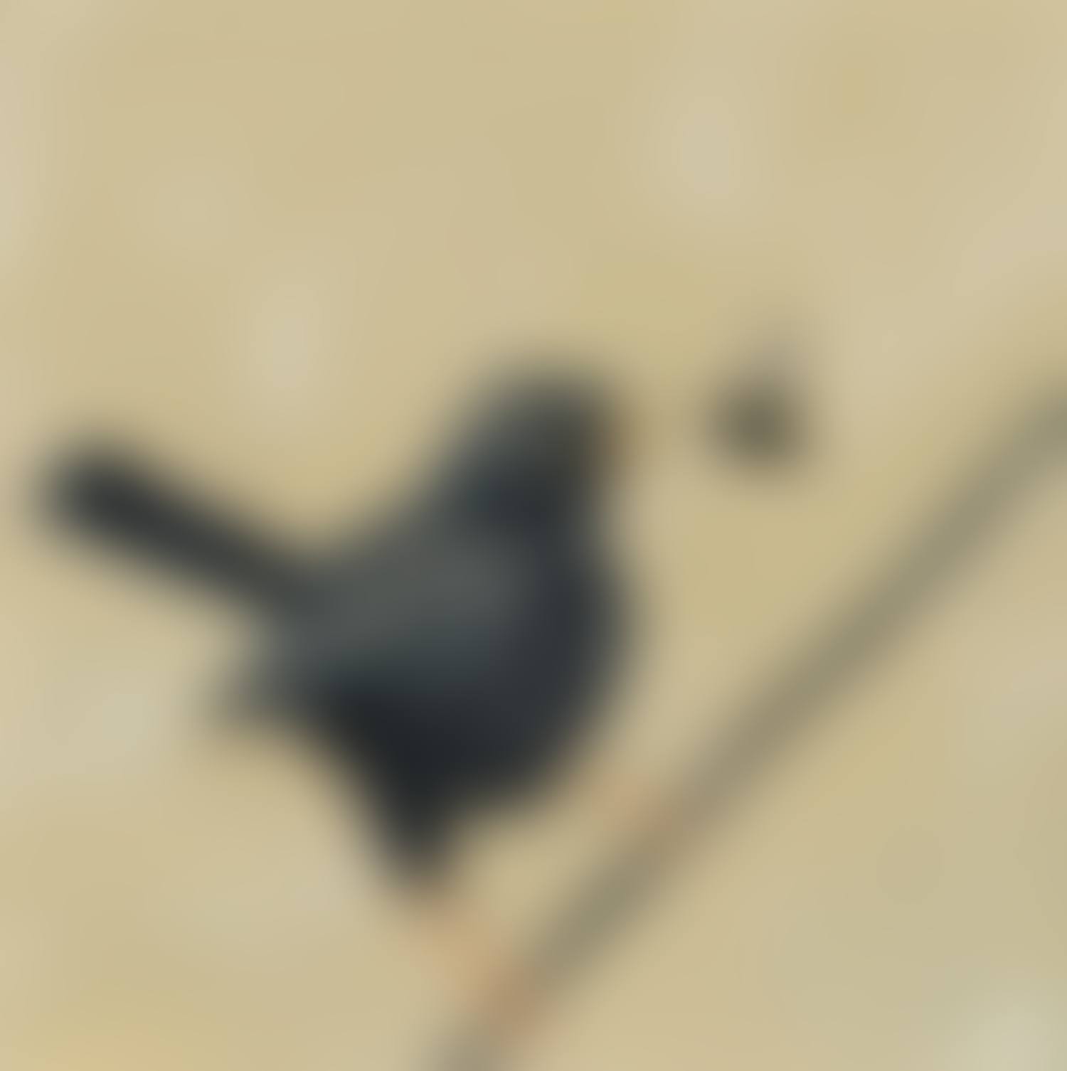 "BLACKBIRD AND BEE" (preview)