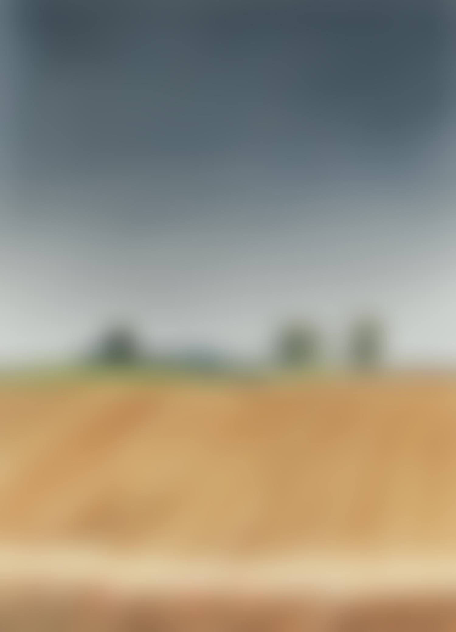 "SUMMER LANDSCAPE" (preview)