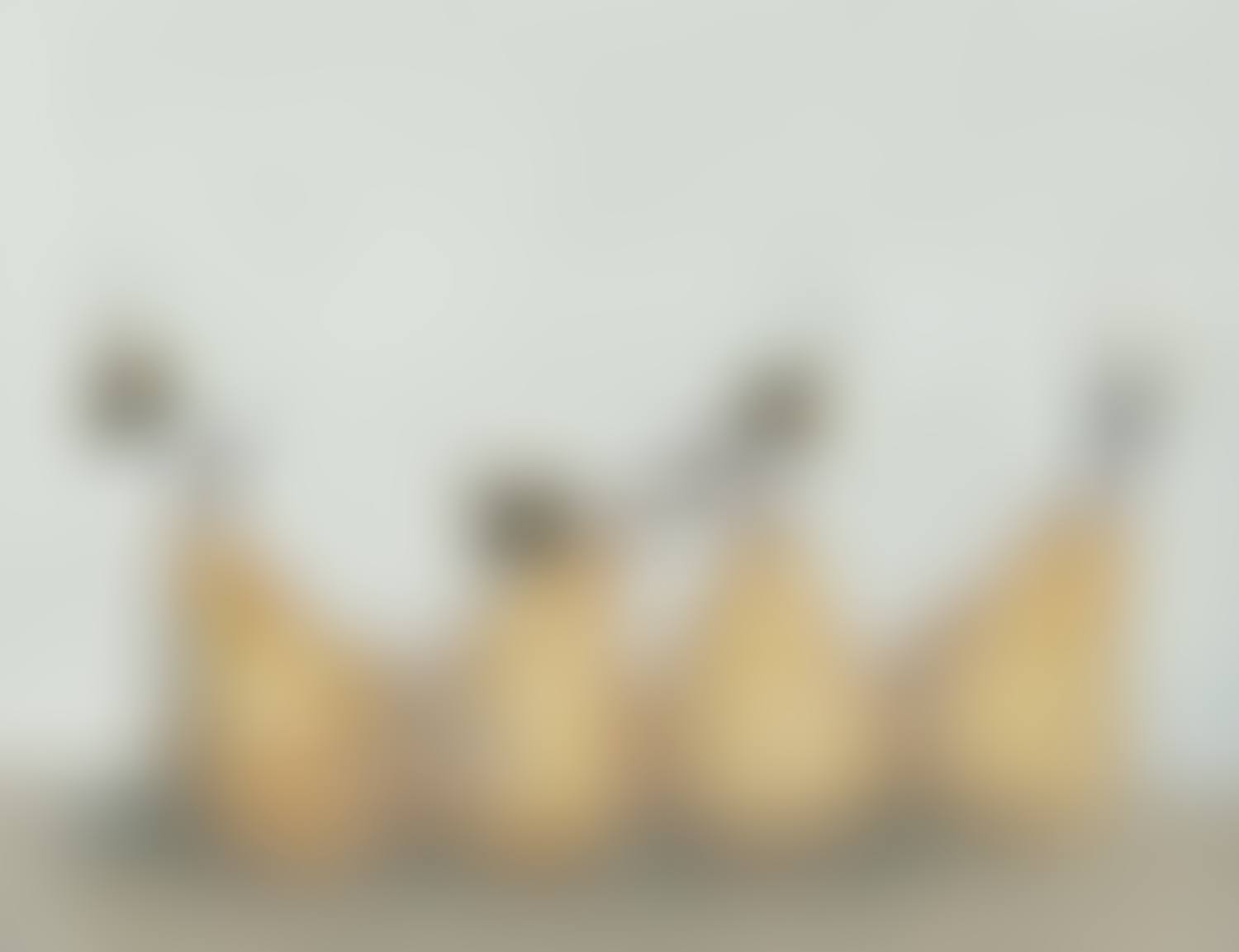 "PEARS AND BEES" (preview)