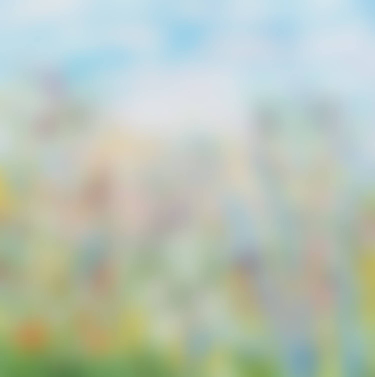 "WILD FLOWERS IN THE MEADOW" (preview)