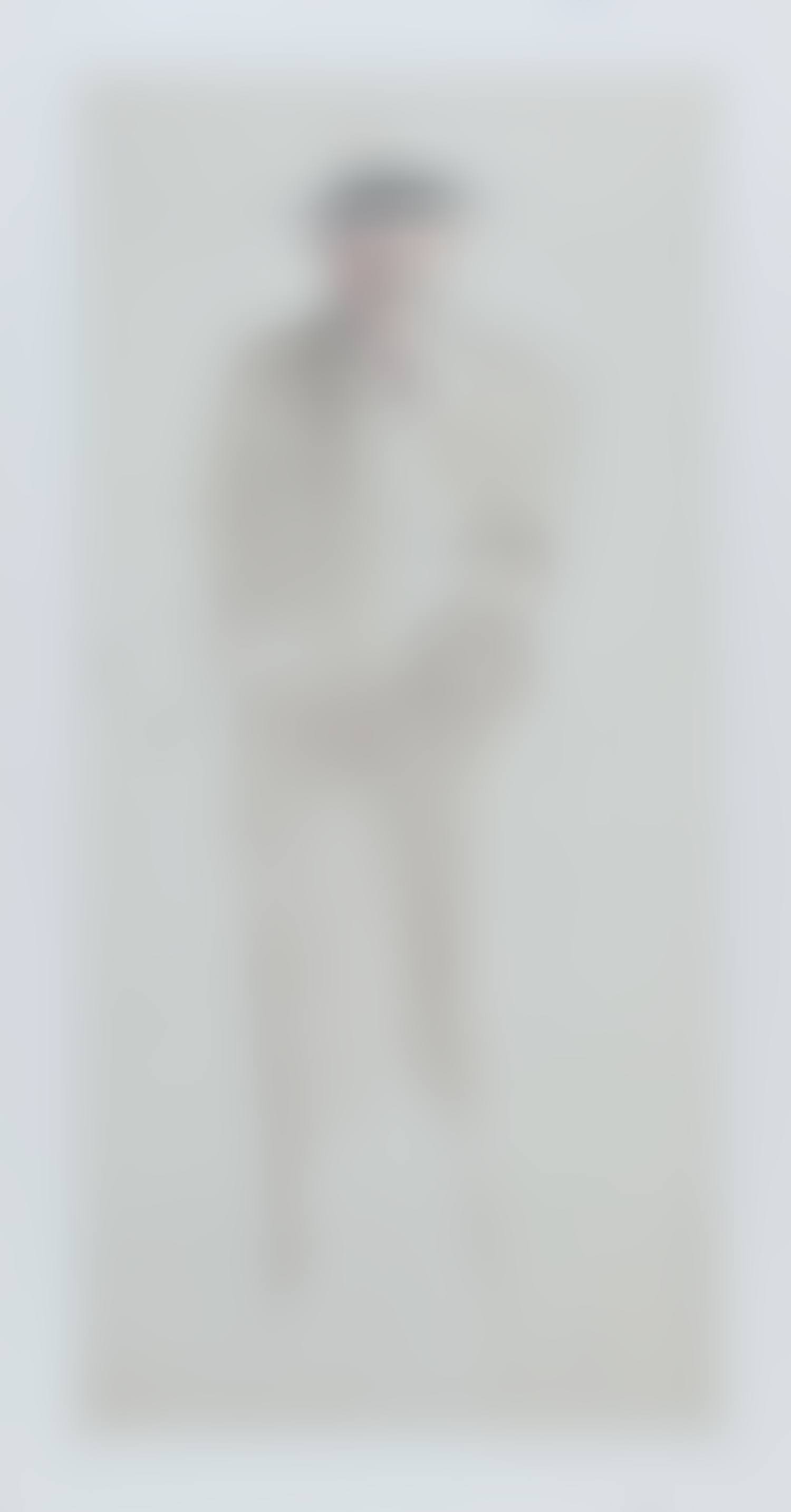 "STANDING PORTRAIT OF SEAMUS HEANEY" (preview)