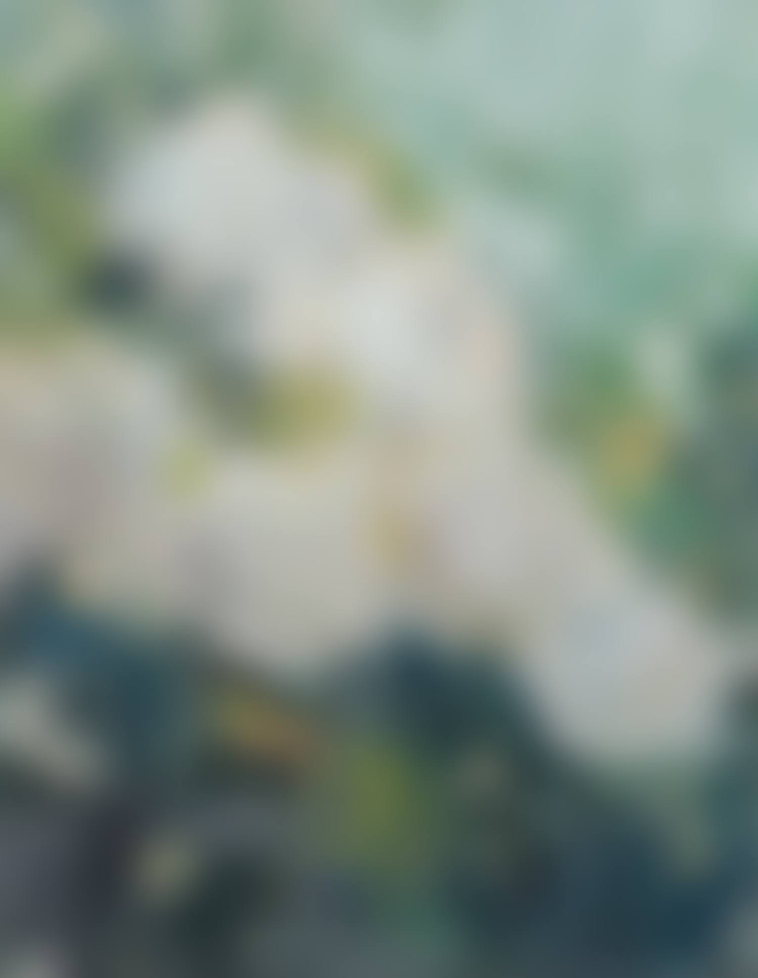 "WHITE ROSES" (preview)