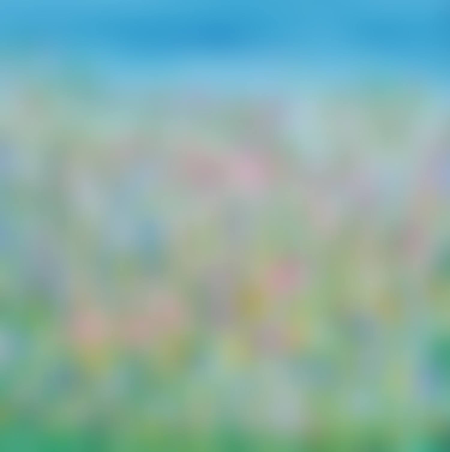 "SUMMER BLOOMS" (preview)