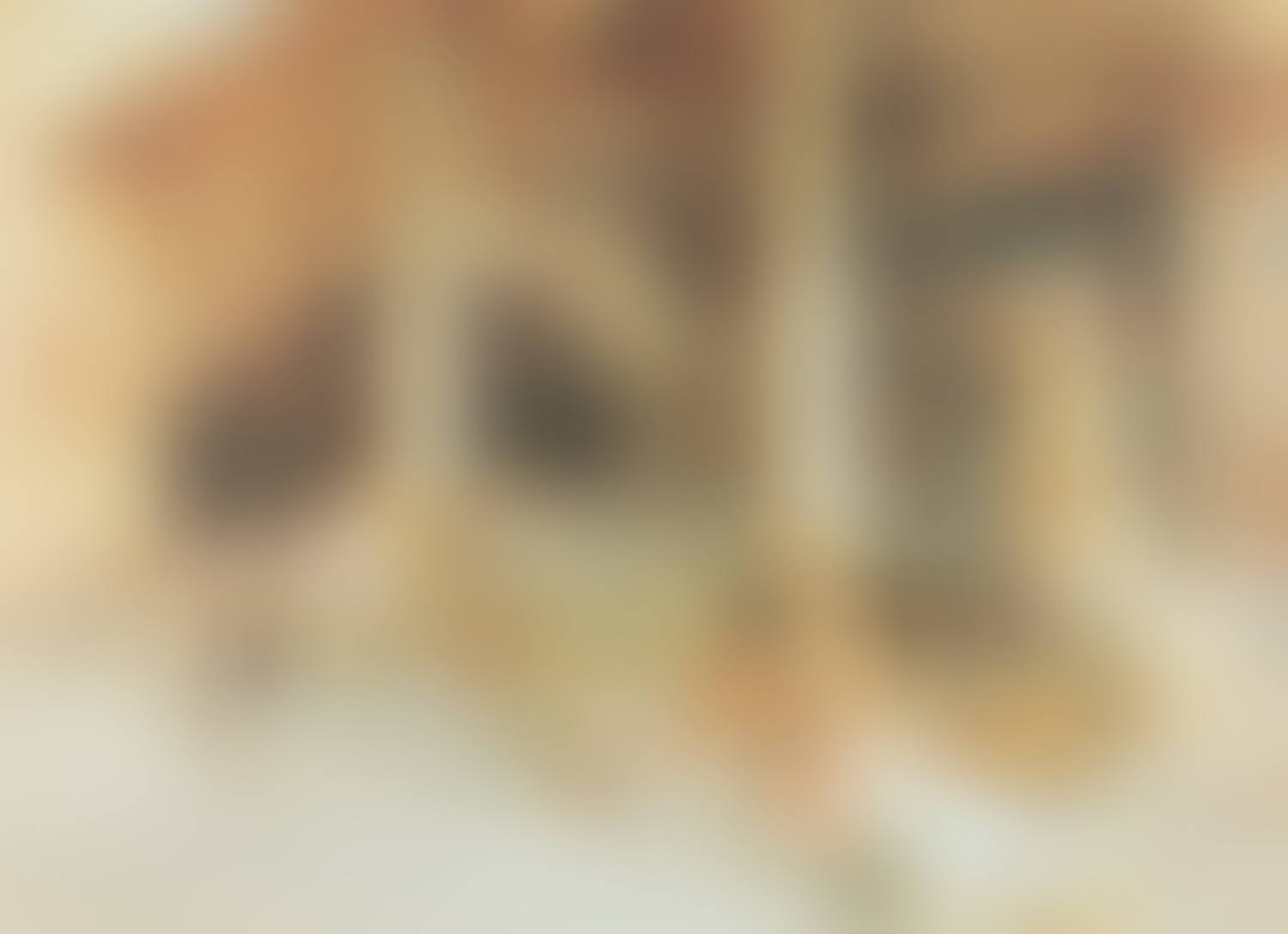 "IN THE COURTYARD" (preview)