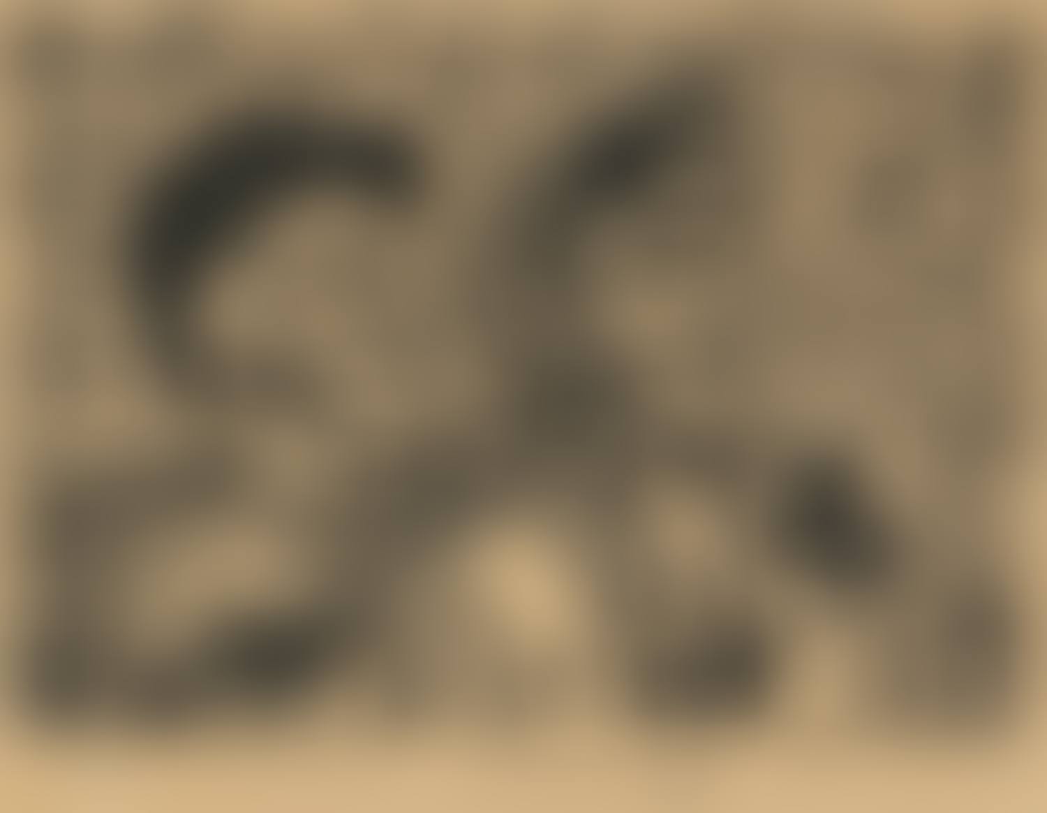 "A BIRD NEVER FLEW ON ONE WING" (preview)
