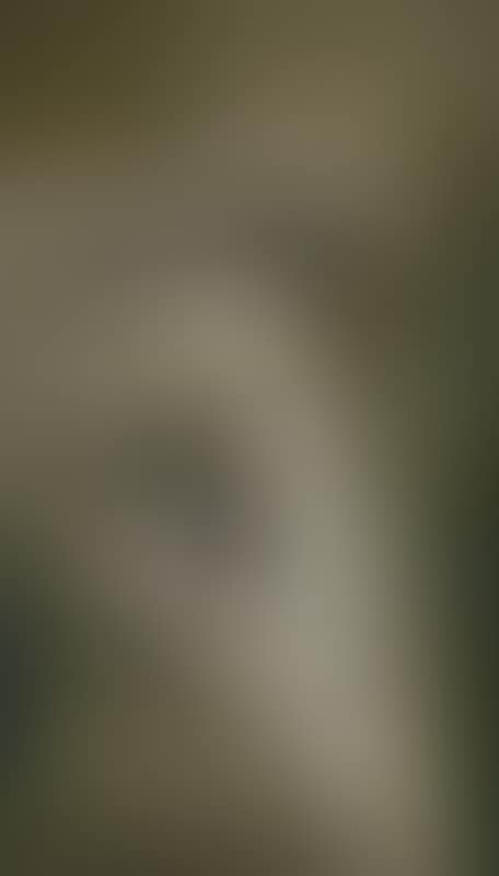 NEST (preview)