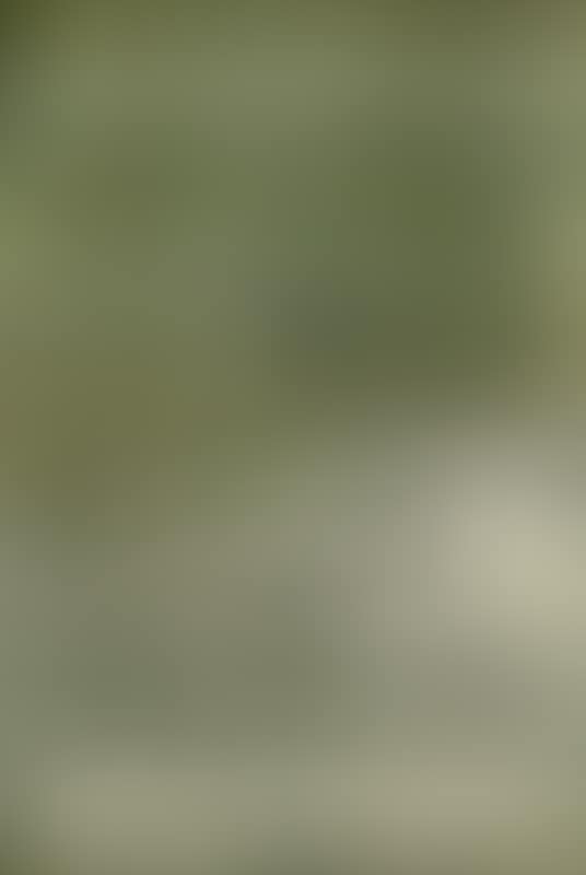 UNTITLED (preview)