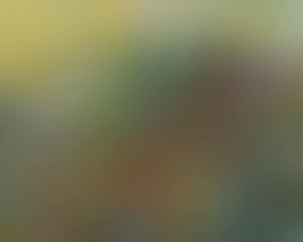 UNTITLED (preview)