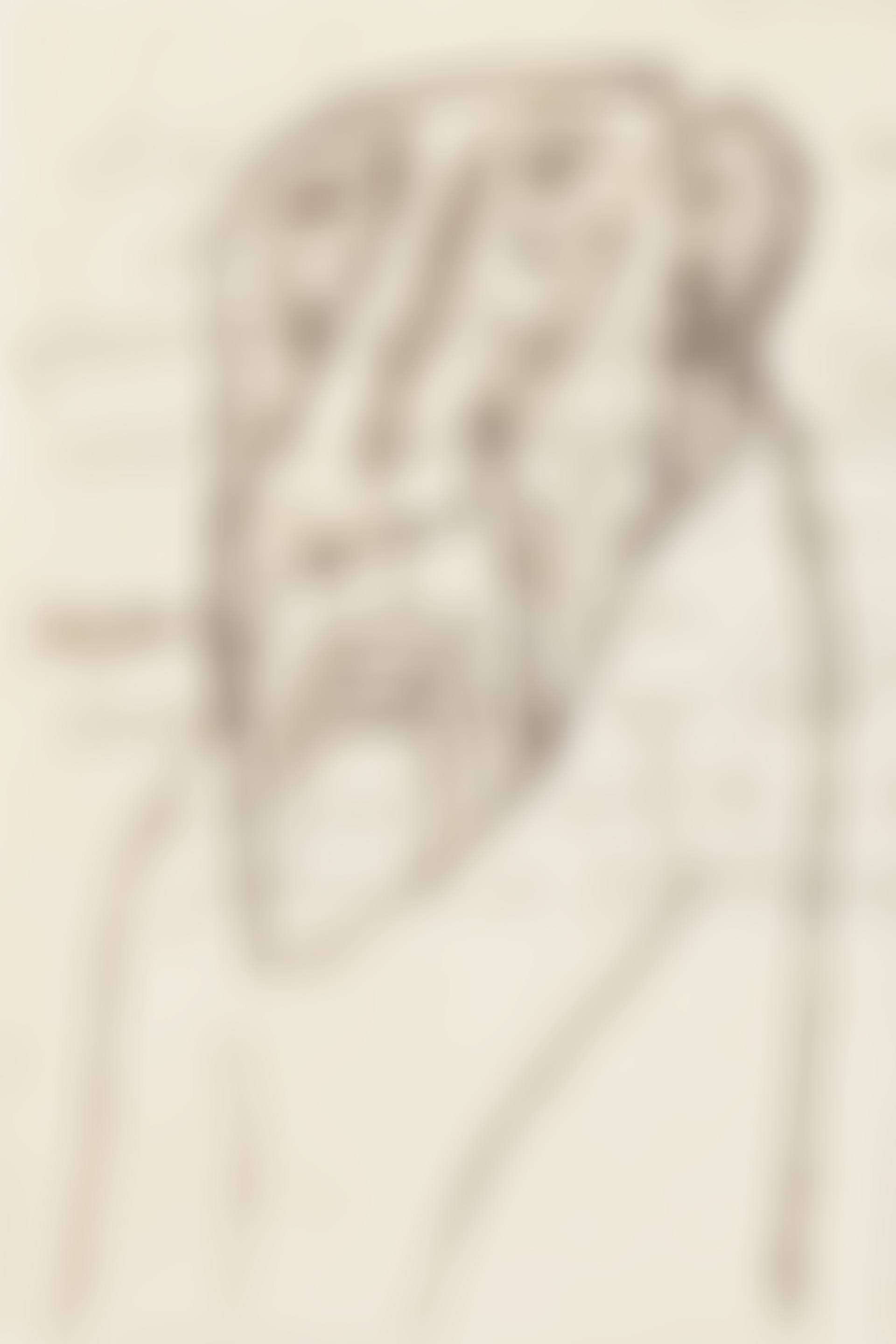 TWO UNTITLED DRAWINGS (preview)
