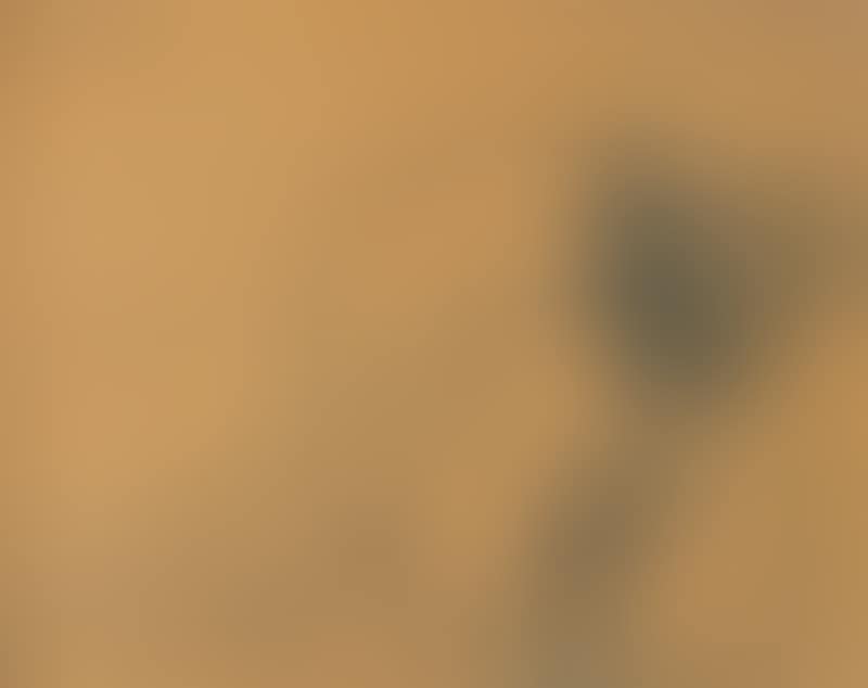 Seated Man (preview)